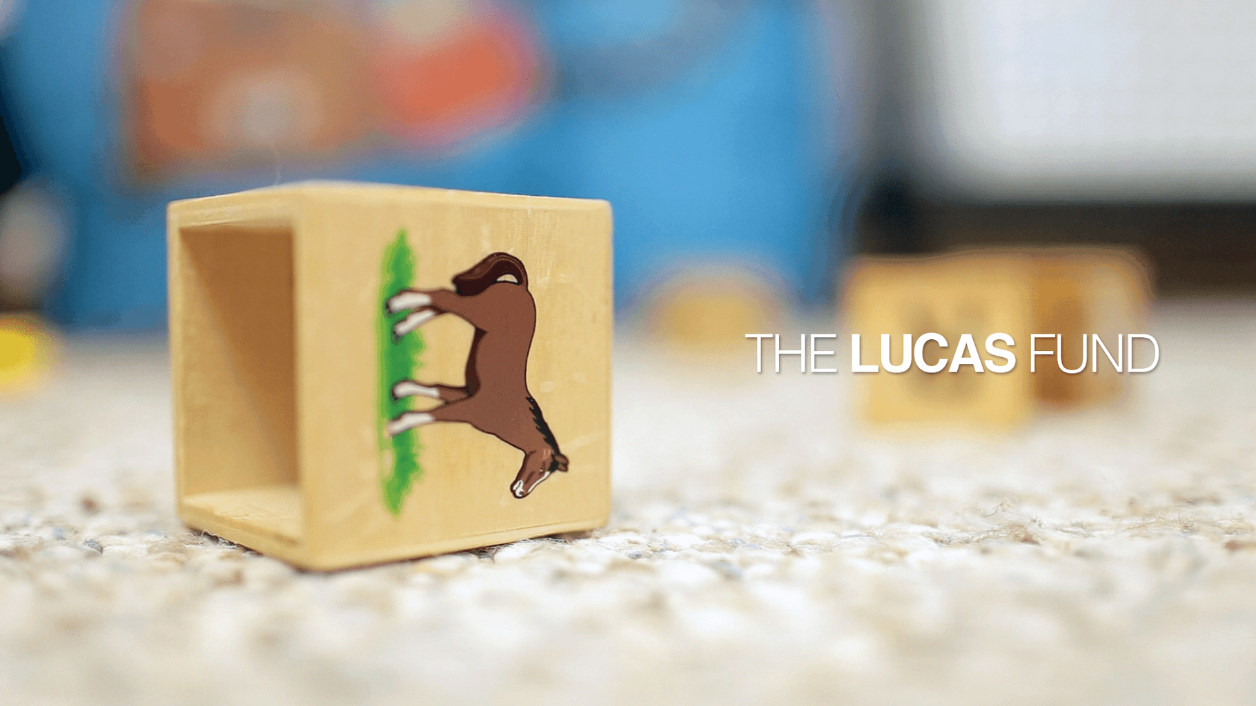 The Lucas Fund | PA Non-Profit Video Production | Autism Awareness Video