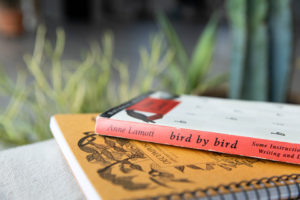 two books surrounded by desert plants in a natural light photography studio