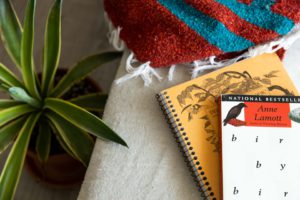 notebooks and books sitting on a tan couch with a woven blanket and agave plant